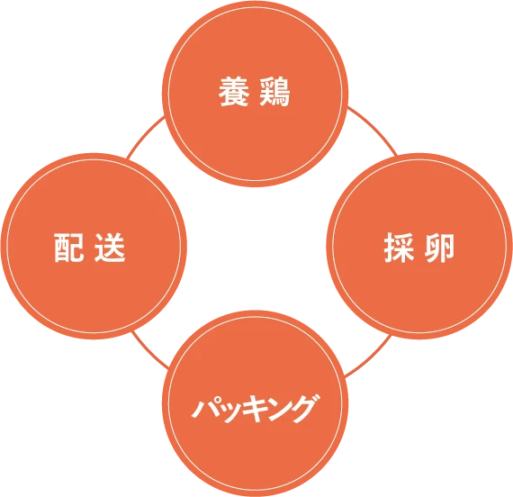 養鶏　採卵　パッキング　配送