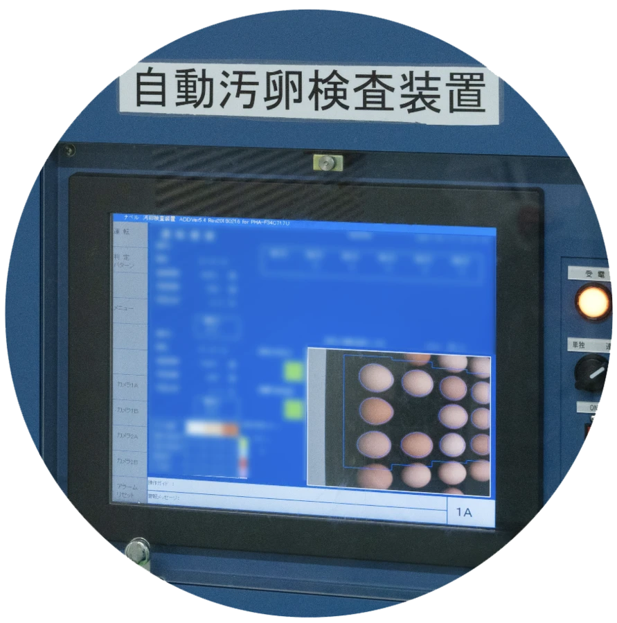 汚卵・ひび検知